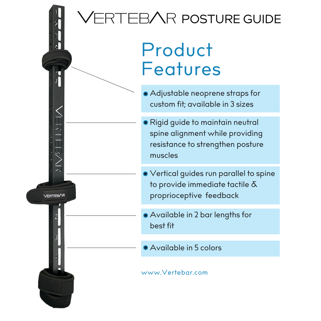 Vertebar Posture Guide - Blue